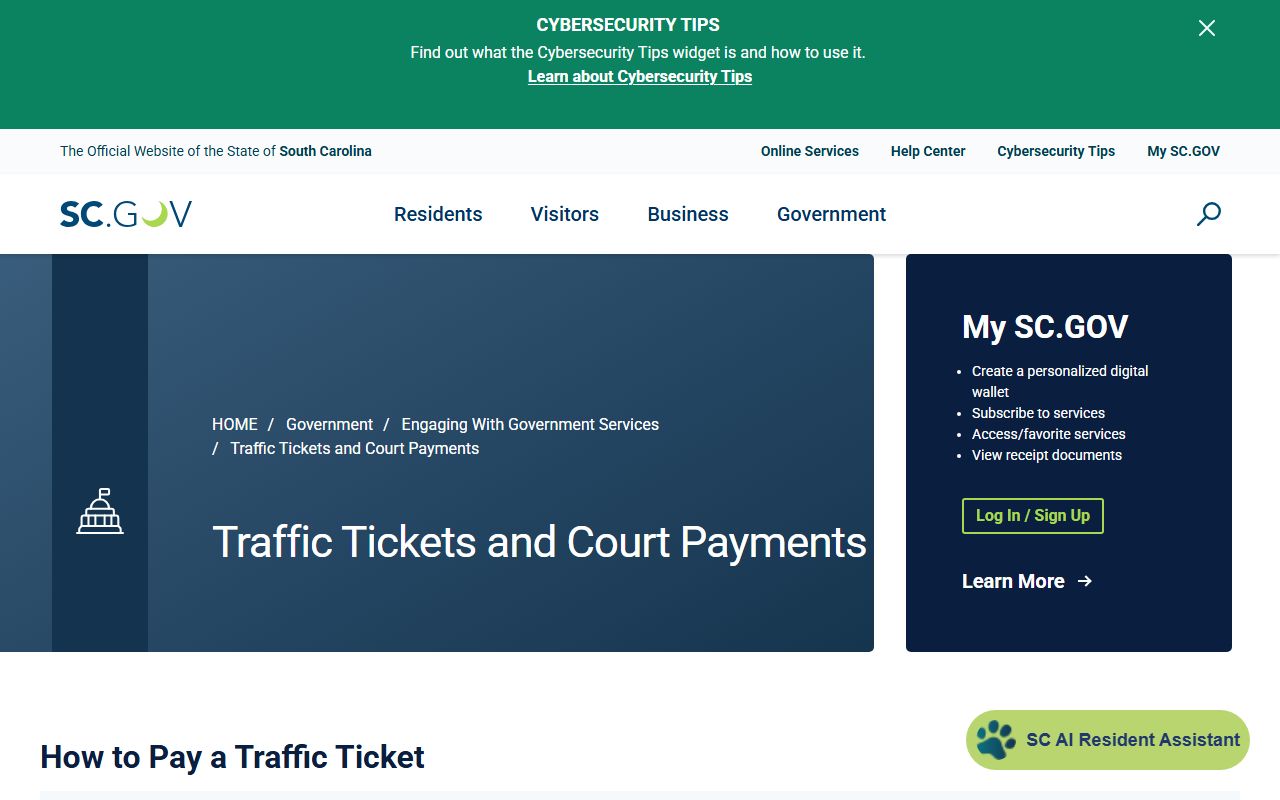 York County traffic court records SC.gov payment lookup